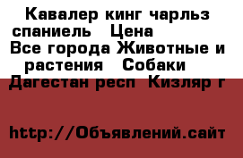Кавалер кинг чарльз спаниель › Цена ­ 40 000 - Все города Животные и растения » Собаки   . Дагестан респ.,Кизляр г.